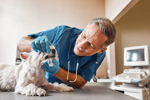 Best Same-Day Emergency Appointments in Flanders, NJ
